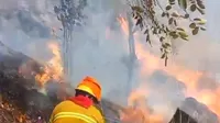 Machu Picchu: Incendio forestal afecta zona de amortiguamiento del distrito
