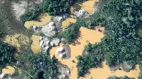 Madre de Dios: imágenes aéreas de la FAP servirán para proteger áreas naturales