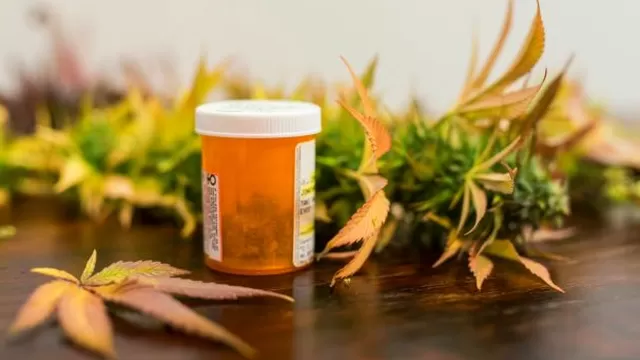 Marihuana medicinal: Empresa recibe licencia para vender cannabis medicinal en Perú