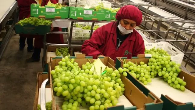 La venta de frutas fue de 1 174 millones de dólares. Foto: Andina 