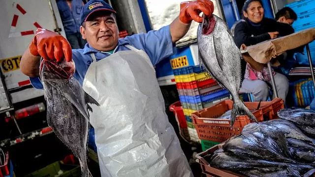 Precio del pescado. Foto: Produce