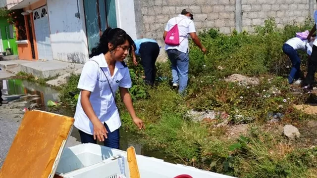 El Minsa realiza labores preventivas contra el dengue y el zika. Foto: Andina