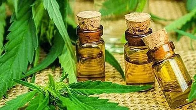 Cannabis: Aprueba reglamento que regula su uso medicinal y terapéutico