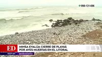 Minsa evalúa cierre de playas por aves muertas en el litoral