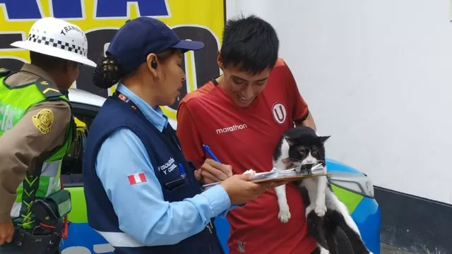 Sujeto fue intervenido en Miraflores por intentar abandonar a su gato en parque Kennedy. Foto: Municipalidad de Miraflores