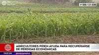 Ñaña: Agricultores piden ayuda al Gobierno para recuperar su economía