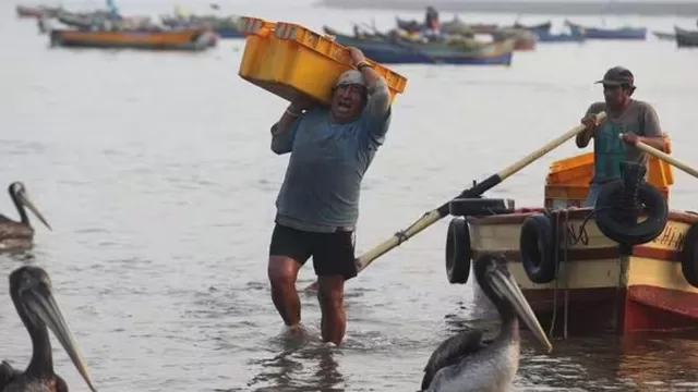 El Niño: Pescadores artesanales se beneficiarán con bono de S/700