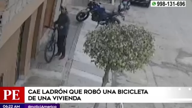 Los Olivos: Cámara de seguridad registra momento en que delincuente roba bicicleta