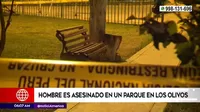 Los Olivos: Hombre fue asesinado a balazos en un parque
