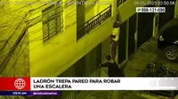 Los Olivos: Ladrón trepó pared para robar una escalera