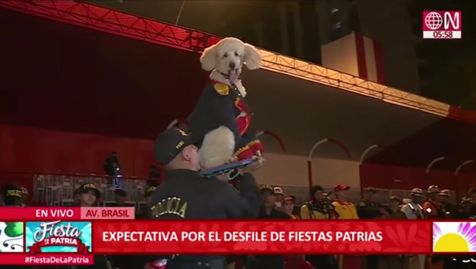Parada Militar: Unidad Canina de la Policía montó skate, bailó marinera e incluso rezó