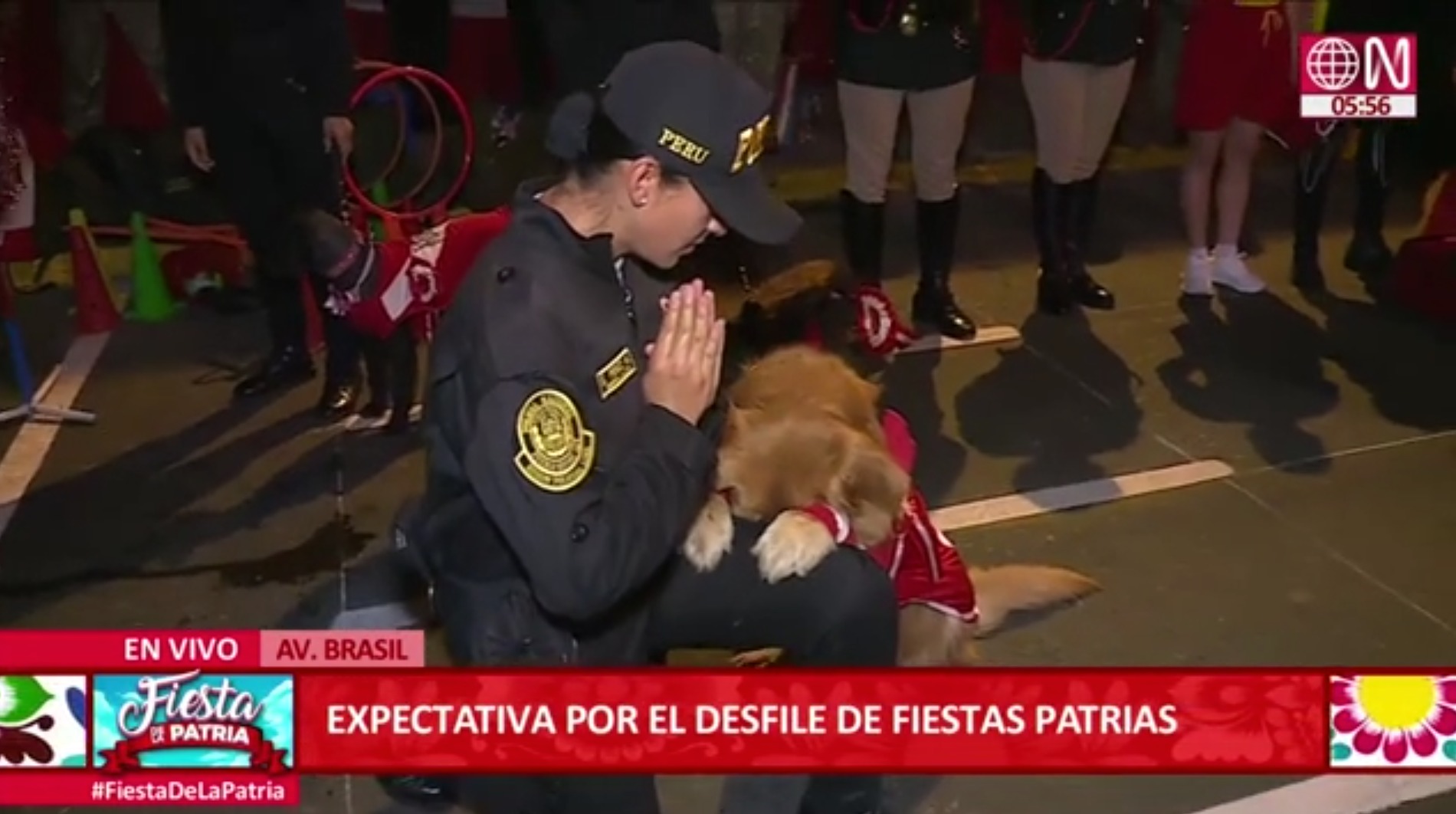 Parada Militar: Unidad Canina de la Policía montó skate, bailó marinera e incluso rezó
