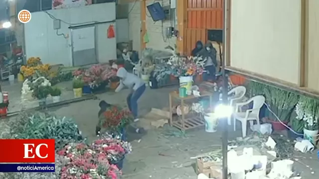 Piura: Delincuentes armados asaltaron puesto de flores y balearon a empleado 