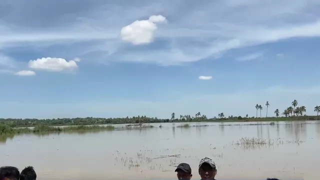 Piura: Inundación afecta cultivos tras desborde del río Chira 