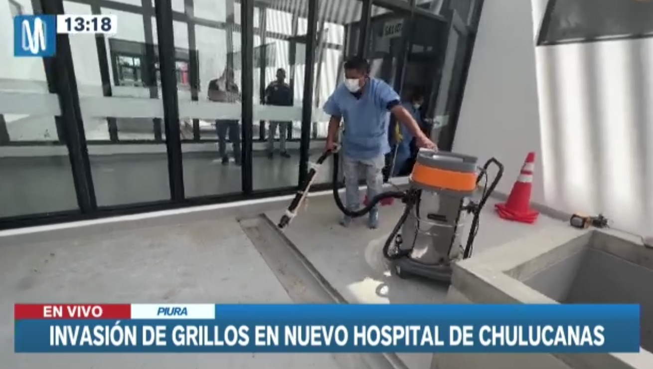 Piura: Millones de grillos invaden hospital y los retiran con aspiradoras industriales
