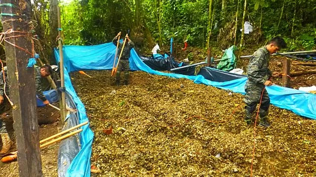 Policía Nacional decomisó más de 1500 kilos de hoja de coca ilegal en el Vraem