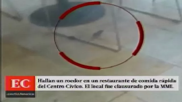 Popeyes asegura que Municipalidad de Lima no halló roedores en su restaurante