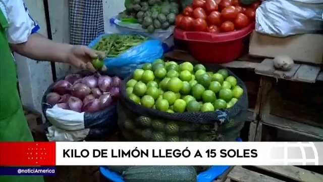Precio del limón llegó a S/15 por kilo 