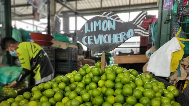 Precio del limón: Producto está por debajo de 10 soles en Mercado Mayorista de Lima