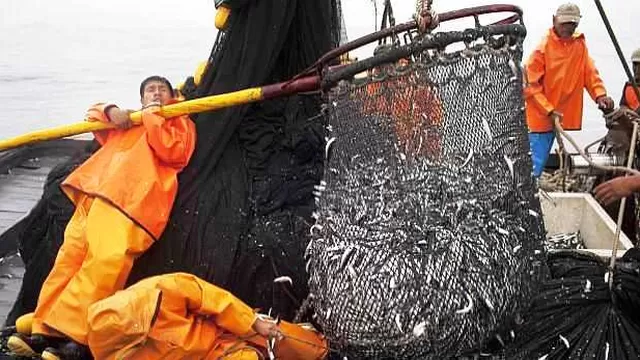 Produce autorizó una segunda temporada de pesca de anchoveta en el 2015