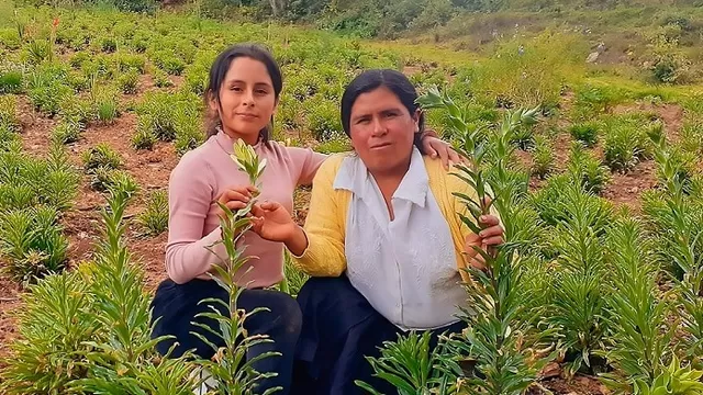 Ganadora de beca del Pronabec estudiará tecnología artificial para ayudar a los agricultores en Huánuco