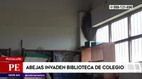 Pucallpa: Abejas invaden biblioteca de colegio