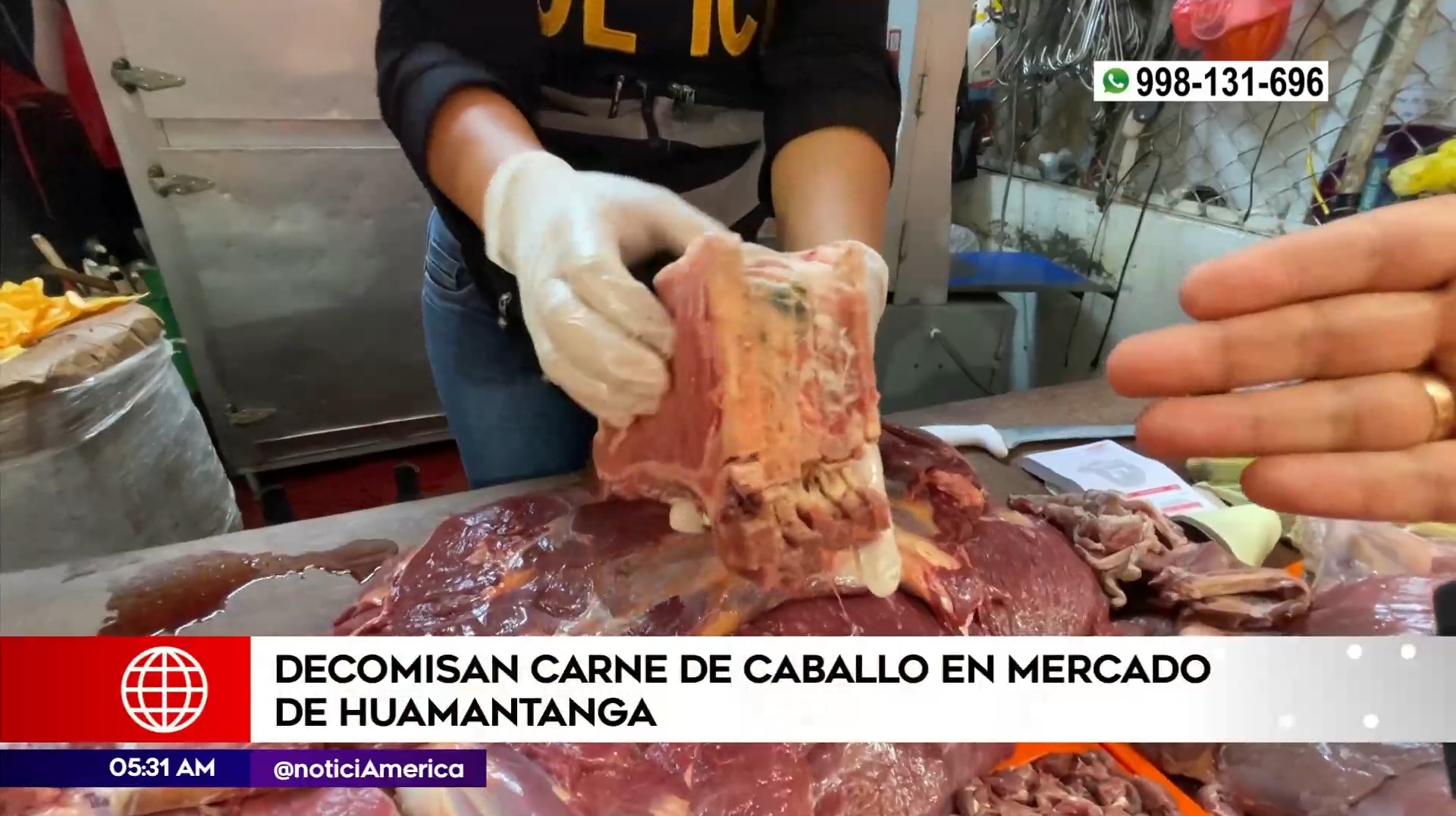Decomiso de carne de caballo. Foto: América Noticias
