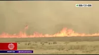 Puno: Incendio forestal arrasó 6 mil hectáreas de pastizales