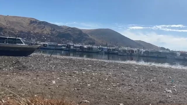 Lago Titicaca: Continúa descenso de agua y afecta hectáreas de totorales y la pesca