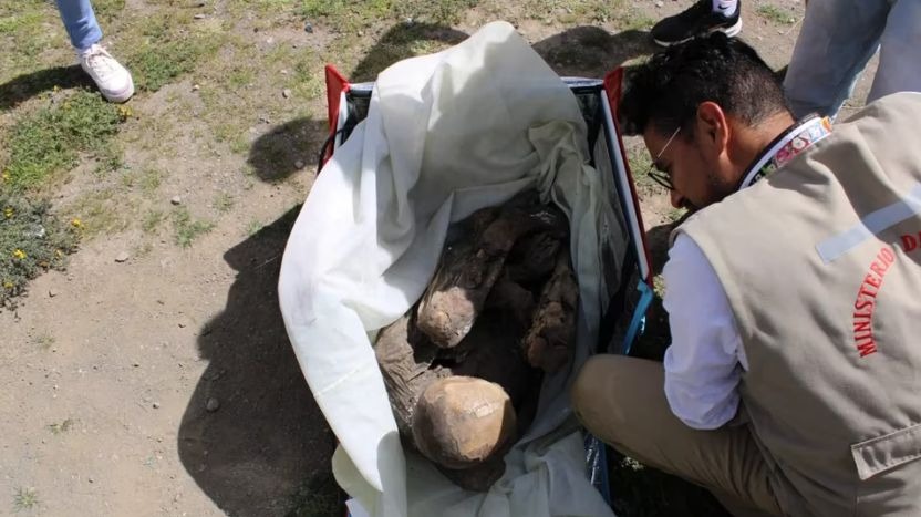 Puno: Momia prehispánica de 800 años fue hallada en bolsa de delivery de moto 