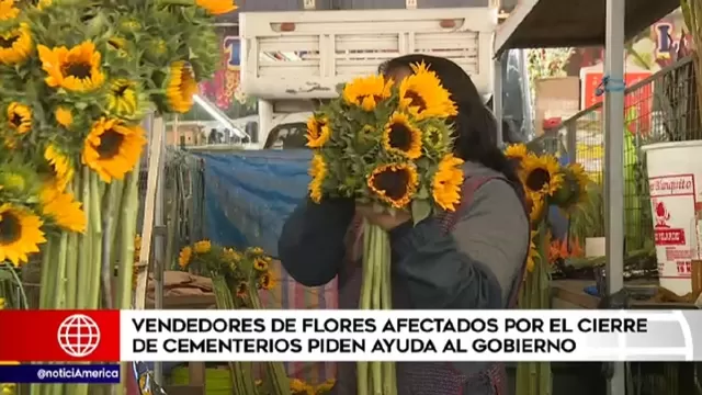Día de los Muertos: Productores de flores piden no cerrar cementerios el 1 de noviembre 