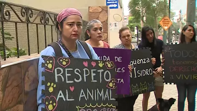 San Isidro: Vecinos piden que se investigue envenenamiento de gatos