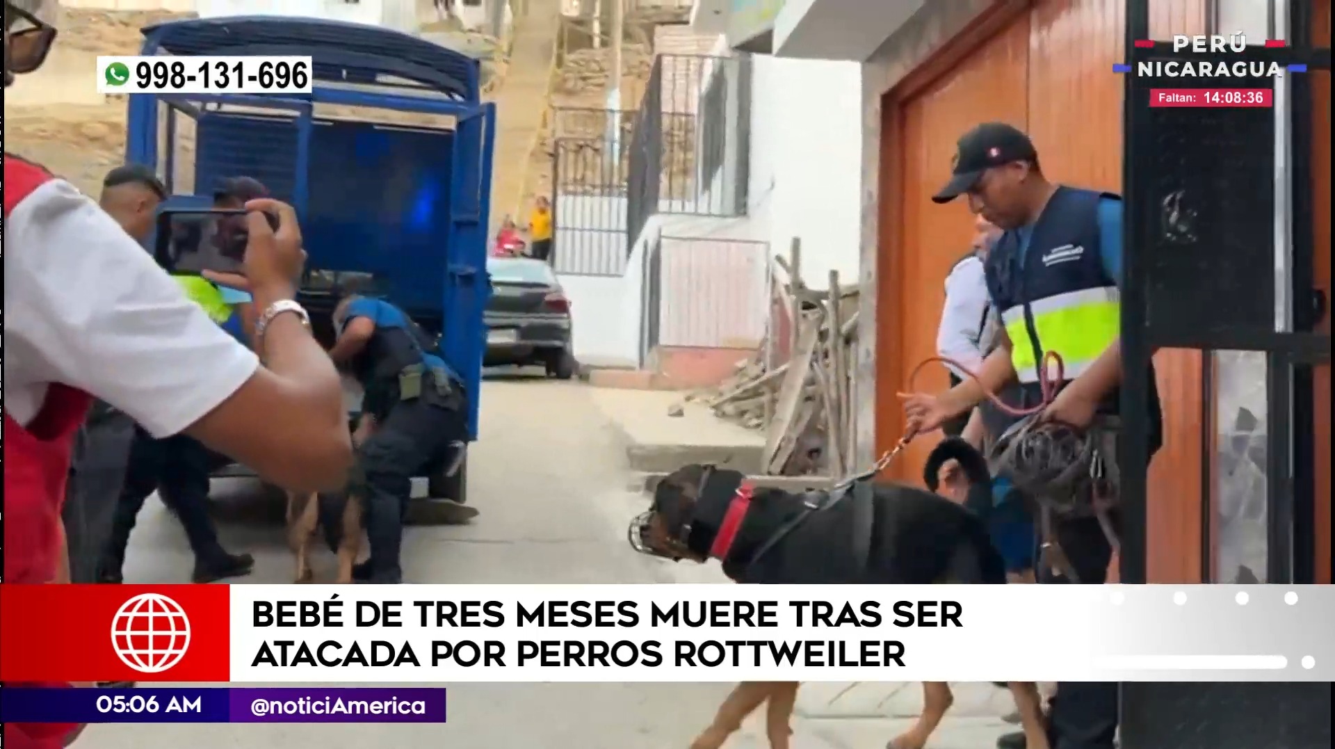 Perros atacaron a bebé en San Juan de Lurigancho. Foto: América Noticias