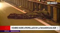 San Juan de Miraflores: Hombre murió atropellado en la Panamericana Sur