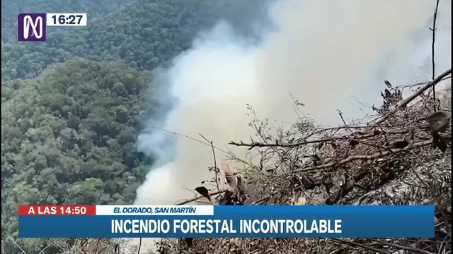 San Martin: Incendio forestal continua sin control