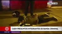San Martín de Porres: Caen presuntos integrantes de banda criminal