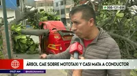 San Martín de Porres: Hombre salvó de morir tras caída de árbol sobre su mototaxi