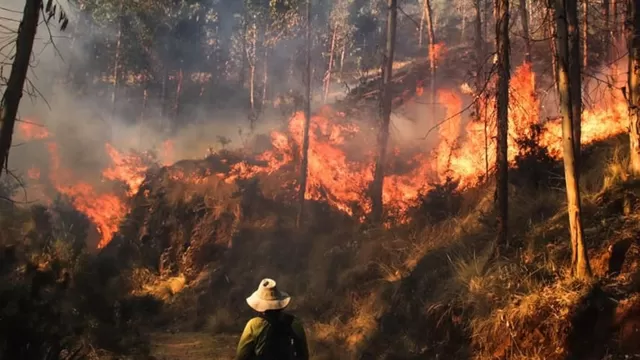 Serfor: ¿Cuántos incendios forestales hay activos a nivel nacional?