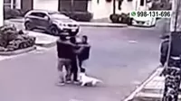 Surco: Capturan a sujeto que fingía ser paseador de perros para cometer robos