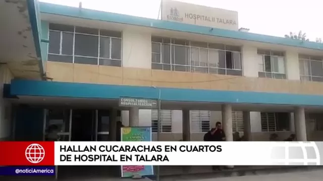 Talara: paciente denunció presencia de cucarachas en hospital de EsSalud