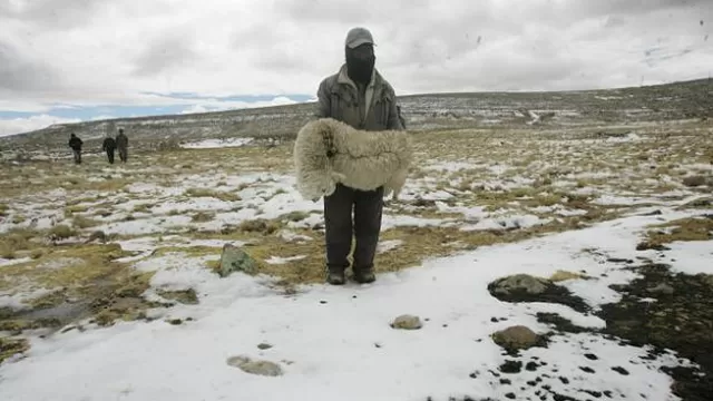 Bajas temperaturas se sentirán en el sur del Perú. Foto: El Comercio