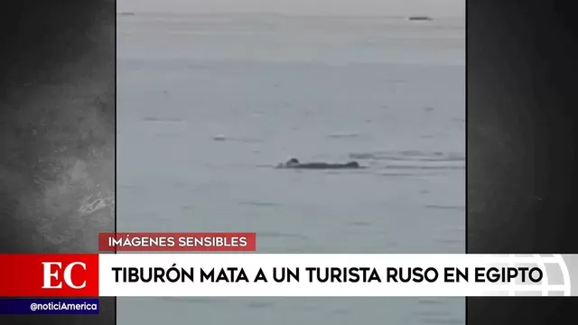 Tiburón mató a un turista ruso en Egipto