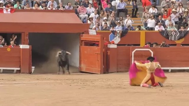 Tribunal Constitucional debatirá sobre corridas de toros. Foto: Andina
