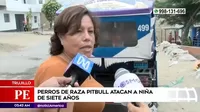 Trujillo: Perros de raza pitbull atacaron a niña de 7 años