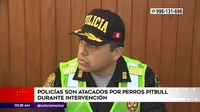 Villa María del Triunfo: Policías atacados por perros pitbull durante intervención