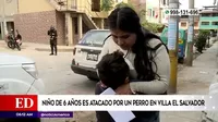Villa El Salvador: Perro atacó a niño de seis años