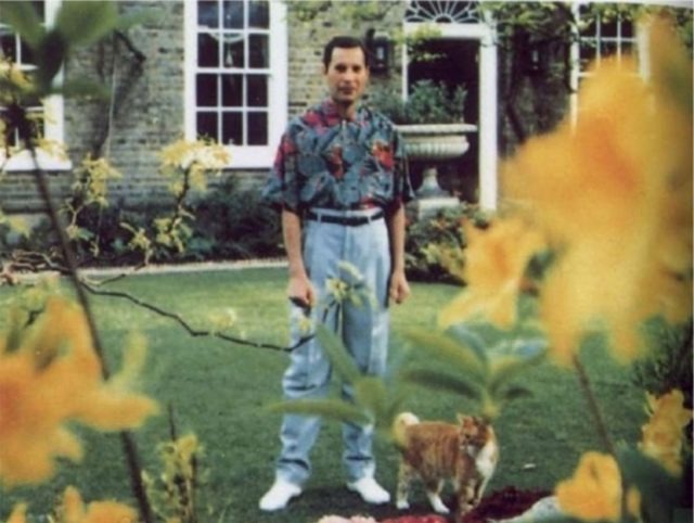La última foto de Freddie Mercury / Fuente: @RelatocuriosoK