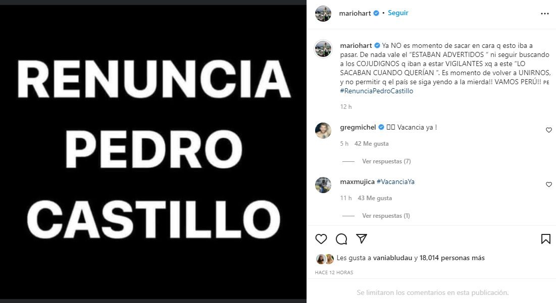 Brunella Horna y Mario Hart marcharon en contra de Pedro Castillo 