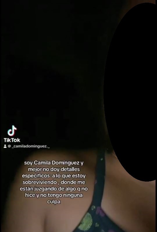 Camila, hija mayor de Christian Domínguez, denunció ser víctima de ciberacoso/ Foto: Captura TikTok