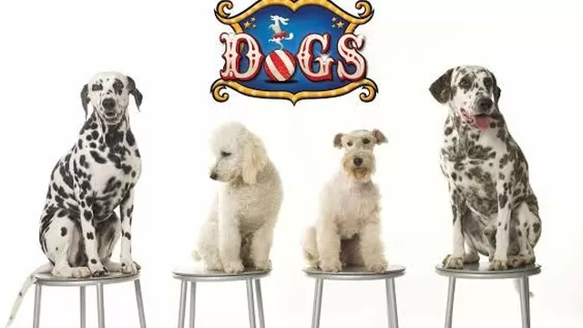 DOGS: Gana entradas dobles para el mejor espectáculo de los perros más famosos del cine 